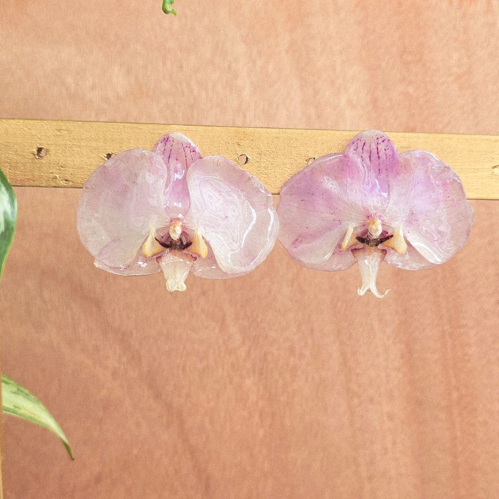 Topos Orquídea Phalaenopsis