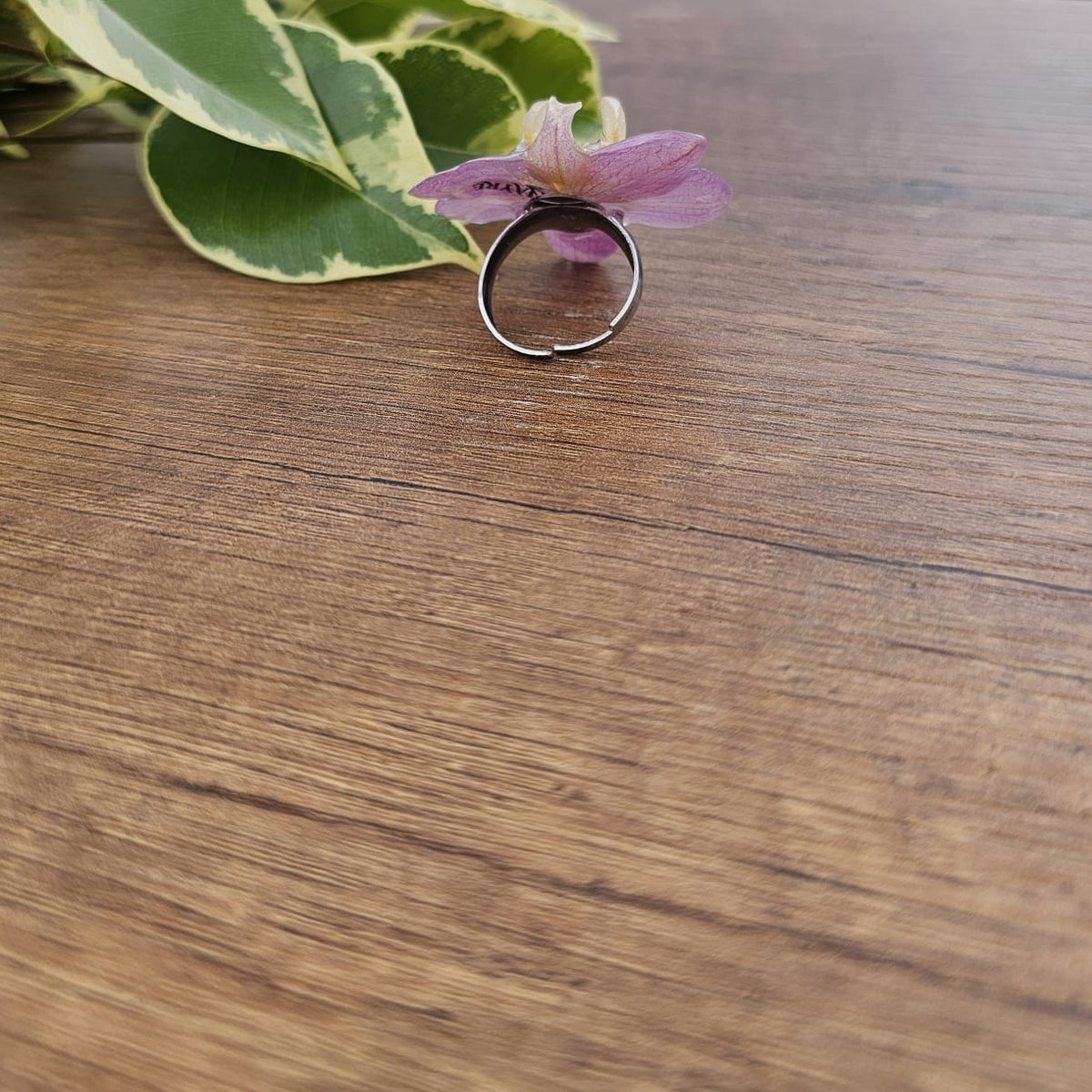 Anillo de Orquídea Phalaenopsis