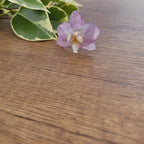 Anillo de Orquídea Phalaenopsis