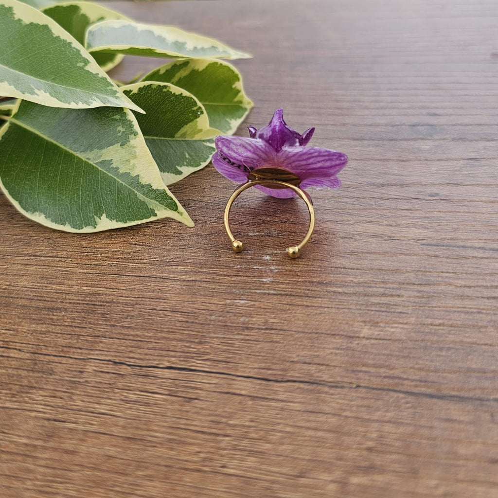 Anillo de Orquídea Phalaenopsis