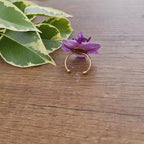 Anillo de Orquídea Phalaenopsis