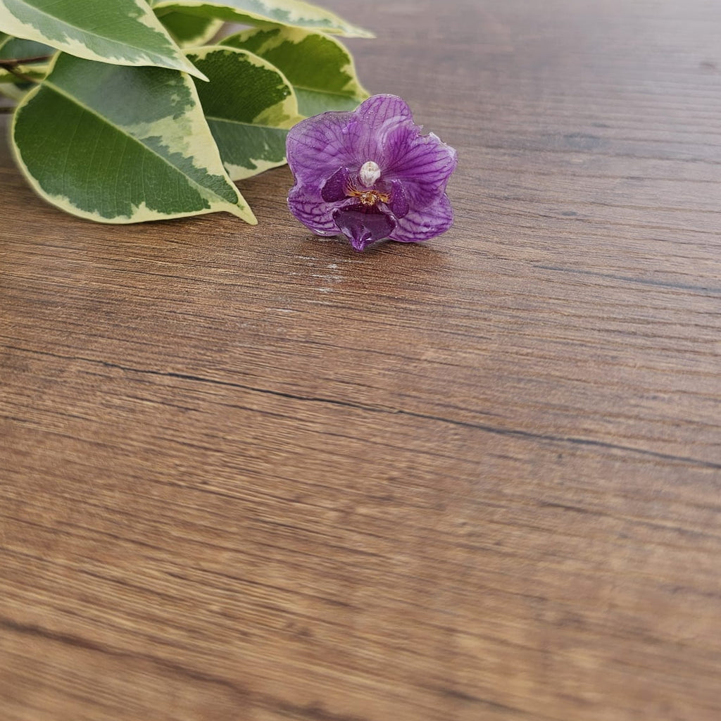 Anillo de Orquídea Phalaenopsis