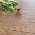 Anillo de Orquídea Phalaenopsis