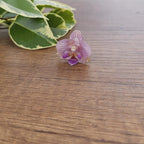 Anillo de Orquídea Phalaenopsis