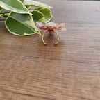 Anillo orquídea Odontoglossum