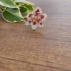 Anillo orquídea Odontoglossum
