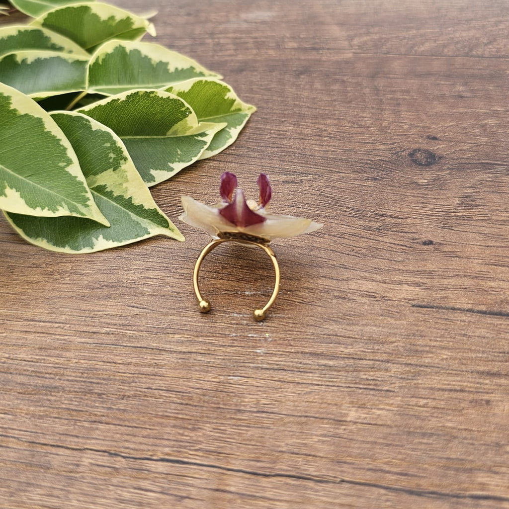 Anillo de Orquídea Phalaenopsis