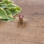 Anillo de Orquídea Phalaenopsis