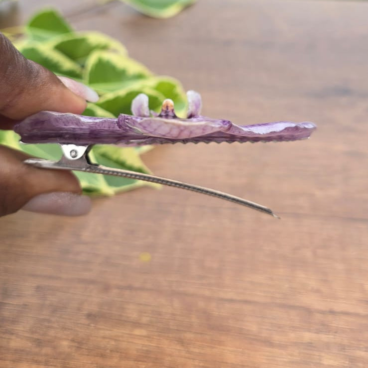 Pinza orquídea Phalaenopsis