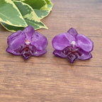 Topos Orquídea Phalaenopsis