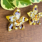 Topos orquídeas Odontoglossum