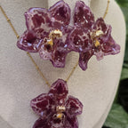 Conjunto Odontoglossum
