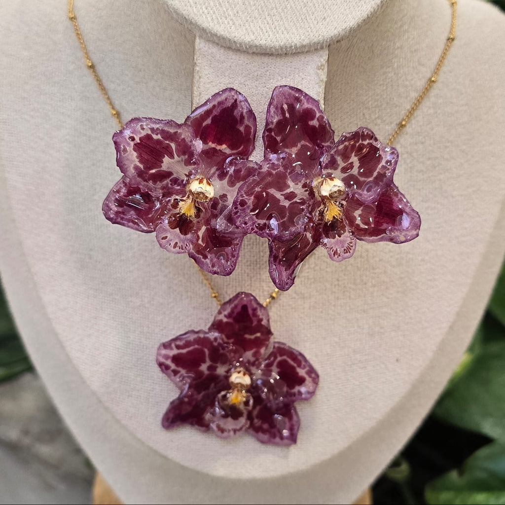 Conjunto Odontoglossum