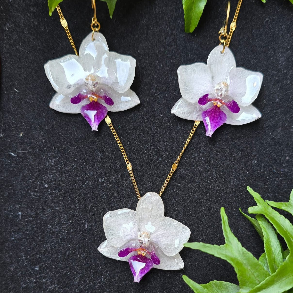 Conjunto Orquídea Phalaenopsis