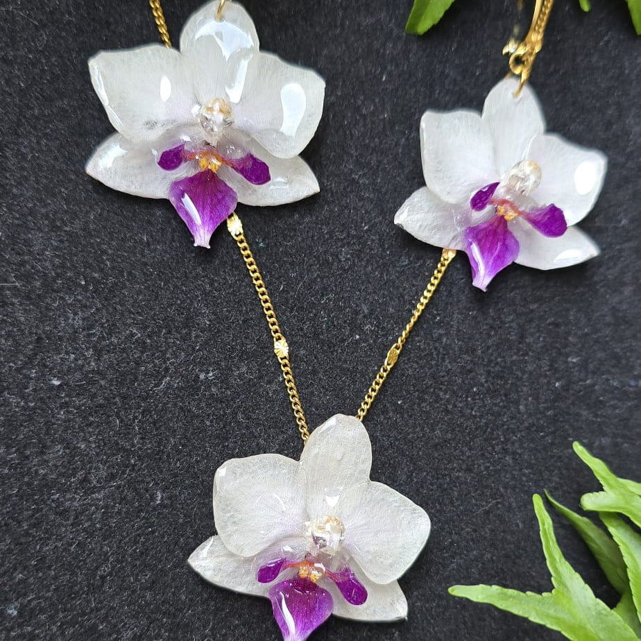 Conjunto Orquídea Phalaenopsis