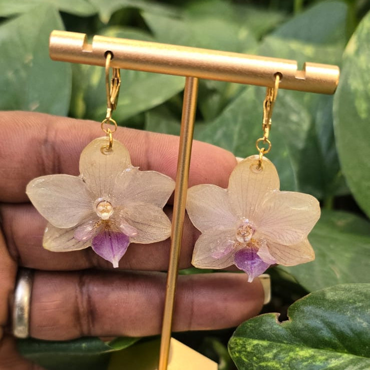 Aretes Orquídea Phalaenopsis