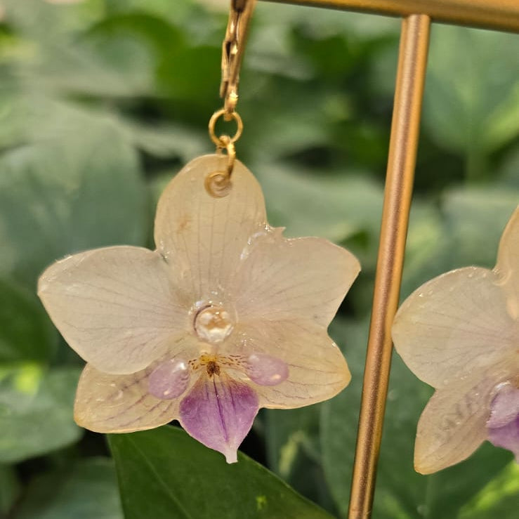 Aretes Orquídea Phalaenopsis