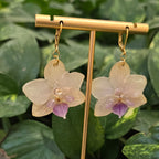 Aretes Orquídea Phalaenopsis