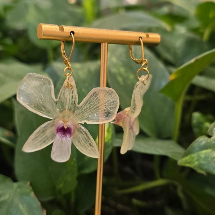 Aretes Dendrobium