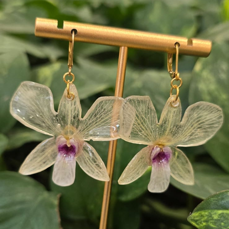 Aretes Dendrobium