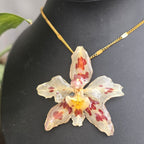 Collar orquídea Odontoglossum