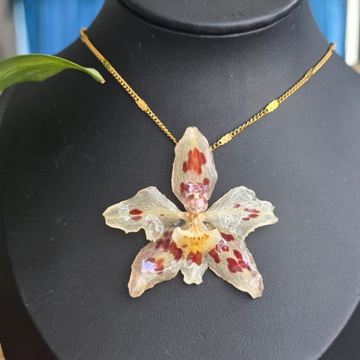 Collar orquídea Odontoglossum