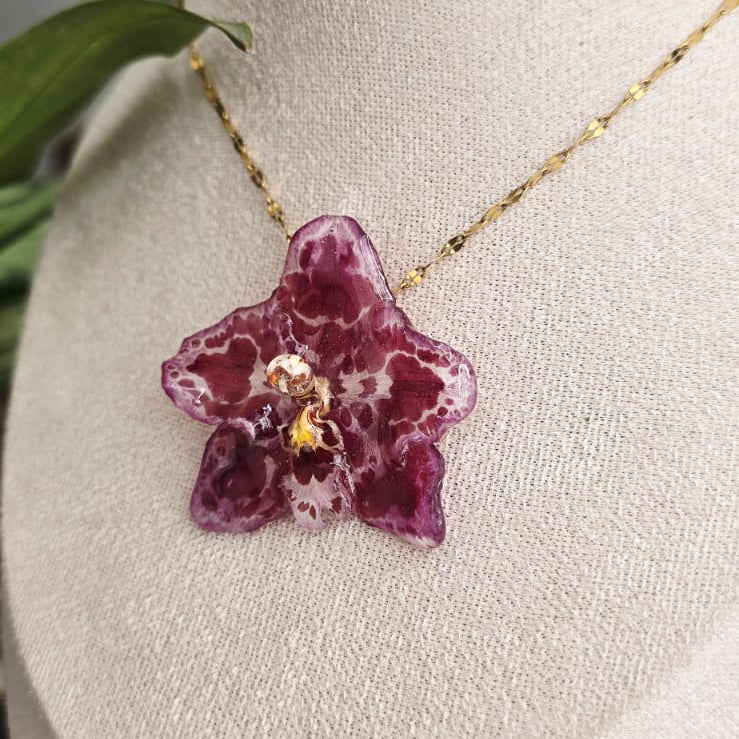 Collar orquídea Odontoglossum