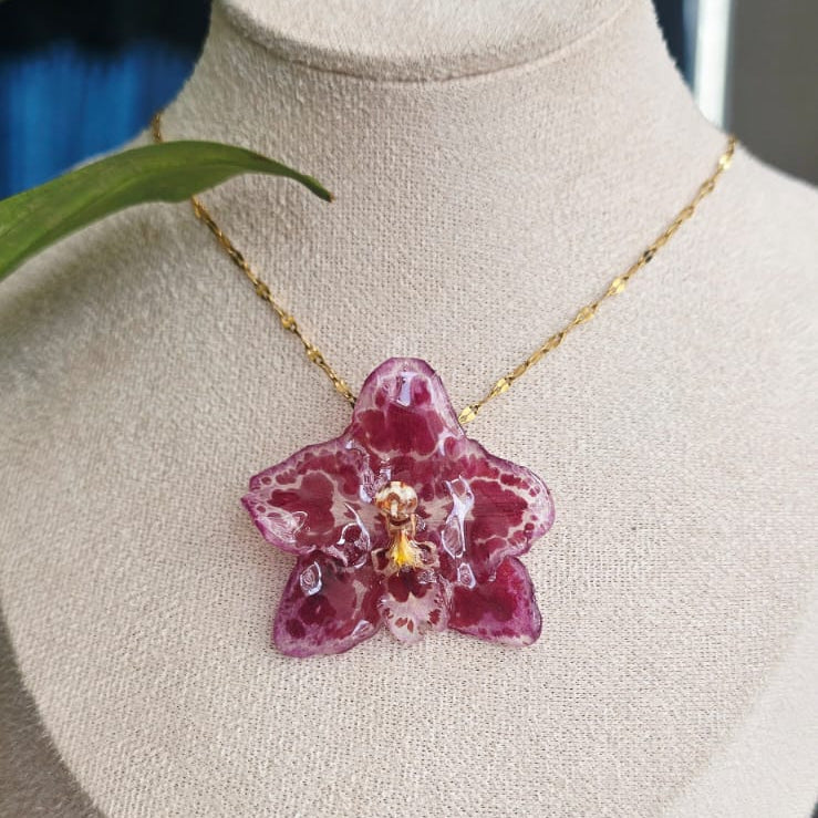 Collar orquídea Odontoglossum