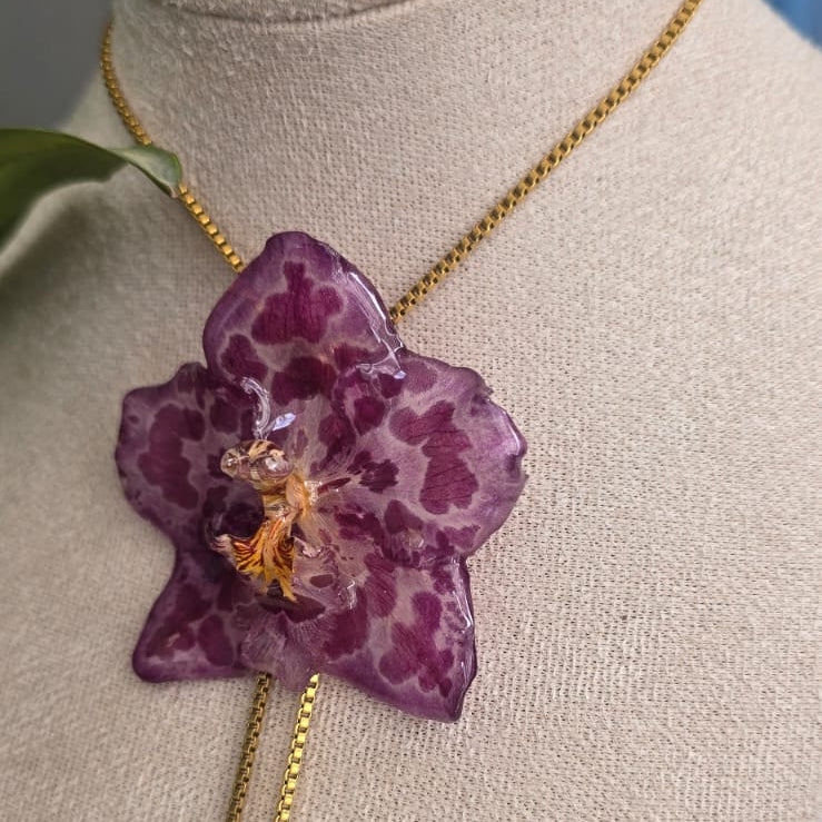 Collar ajustable orquídea Odontoglossum