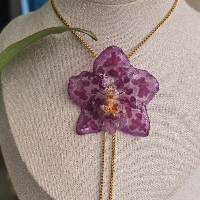 Collar ajustable orquídea Odontoglossum