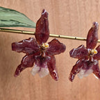 Topos orquídeas Odontoglossum