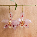 Pendientes orquídeas Odontoglossum