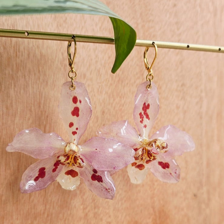 Pendientes orquídeas Odontoglossum