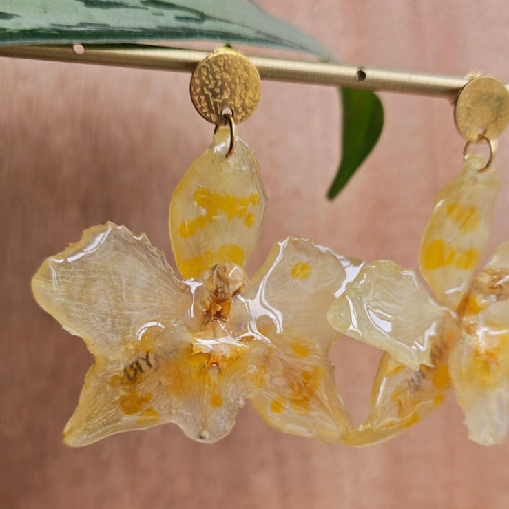 Pendientes orquídeas Odontoglossum