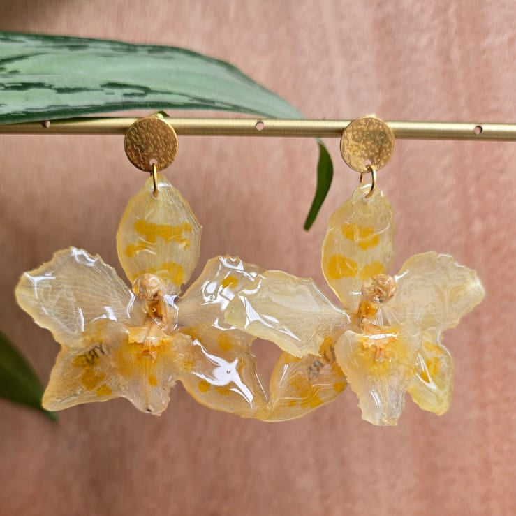 Pendientes orquídeas Odontoglossum