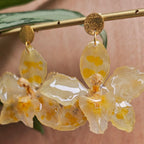 Pendientes orquídeas Odontoglossum