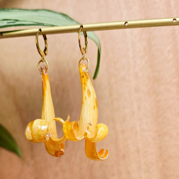 Pendientes flor Pyrostegia