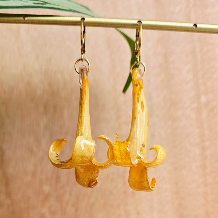 Pendientes flor Pyrostegia