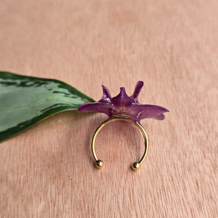Anillo de Orquídea Phalaenopsis