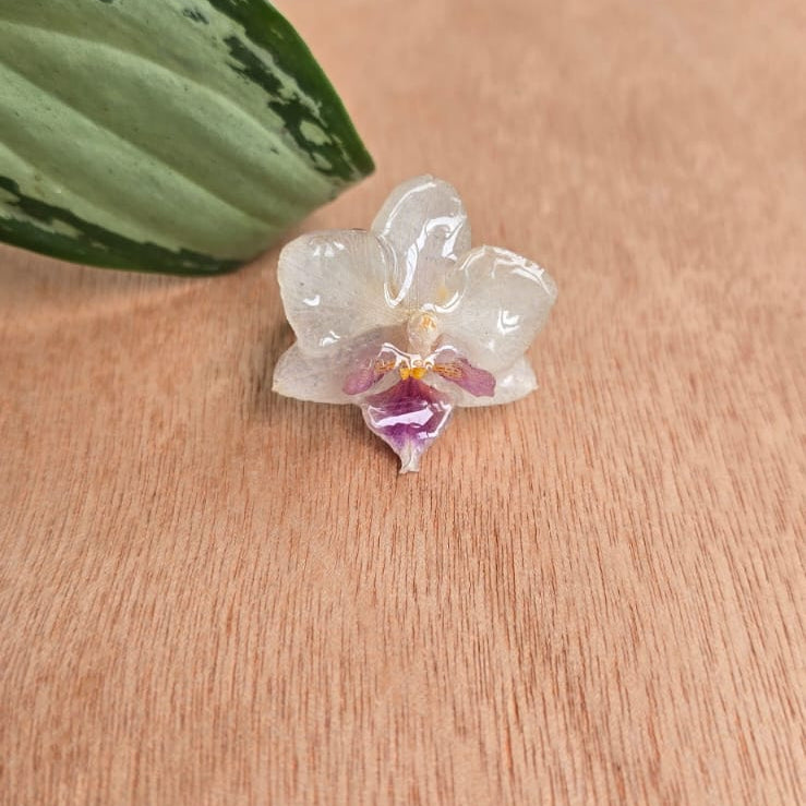 Anillo de Orquídea Phalaenopsis