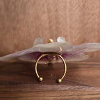 Anillo de Orquídea Phalaenopsis