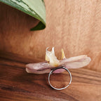 Anillo de Orquídea Phalaenopsis
