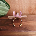 Anillo de Orquídea Phalaenopsis