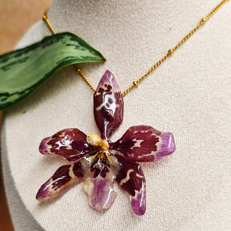 Collar orquídea Odontoglossum