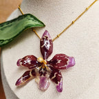 Collar orquídea Odontoglossum