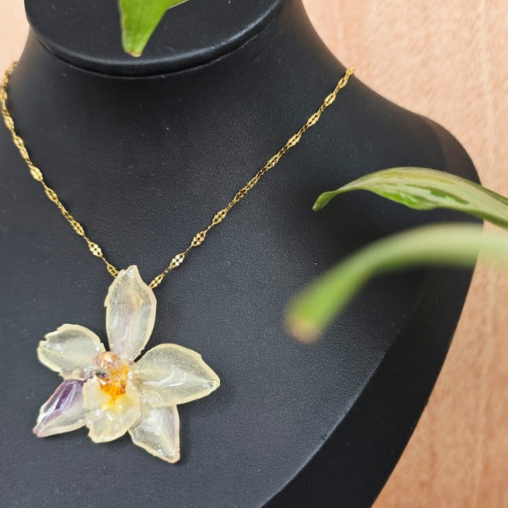 Collar orquídea Odontoglossum