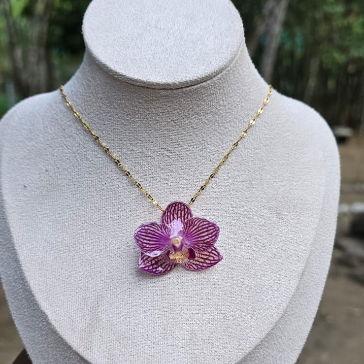 Collar orquídea Phalaenopsis