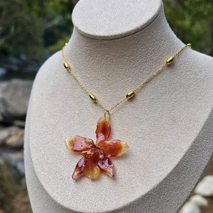 Collar ajustable orquídea Odontoglossum