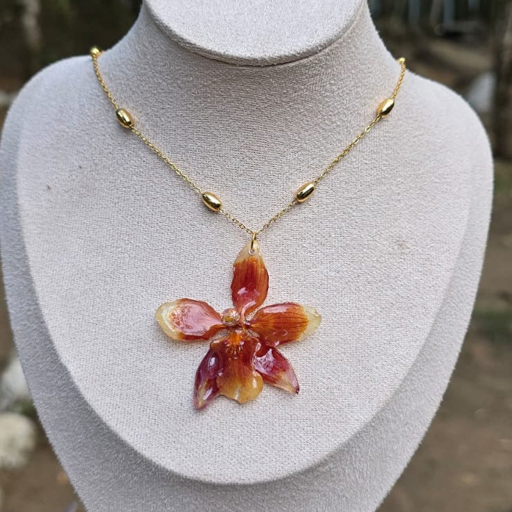 Collar ajustable orquídea Odontoglossum