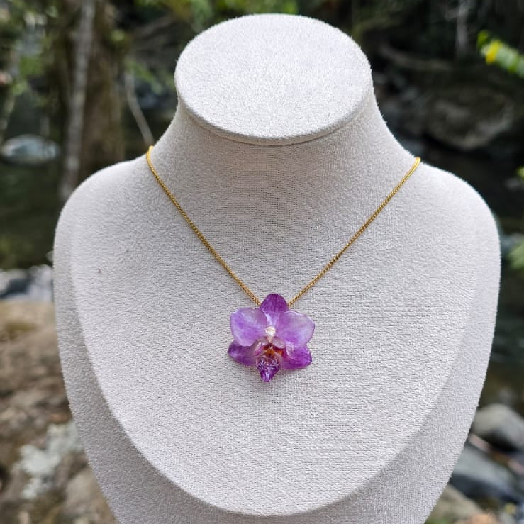 Collar orquídea Phalaenopsis